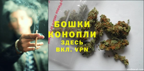 PSILOCYBIN Белокуриха