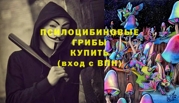 PSILOCYBIN Белокуриха