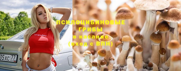 PSILOCYBIN Белокуриха