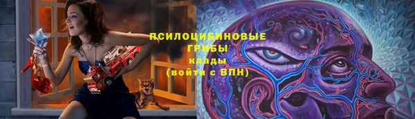 спайс Баксан