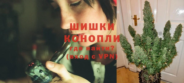 спайс Баксан